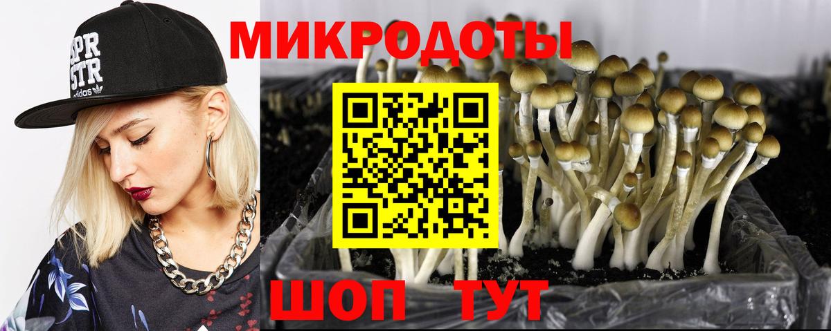 Кострома  Галлюциногенные грибы Magic Shrooms  Вход с VPN 